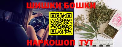 шишки Бердск