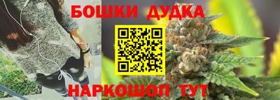 шишки Бердск