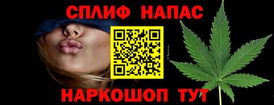 шишки Бердск