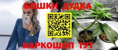 шишки Бердск