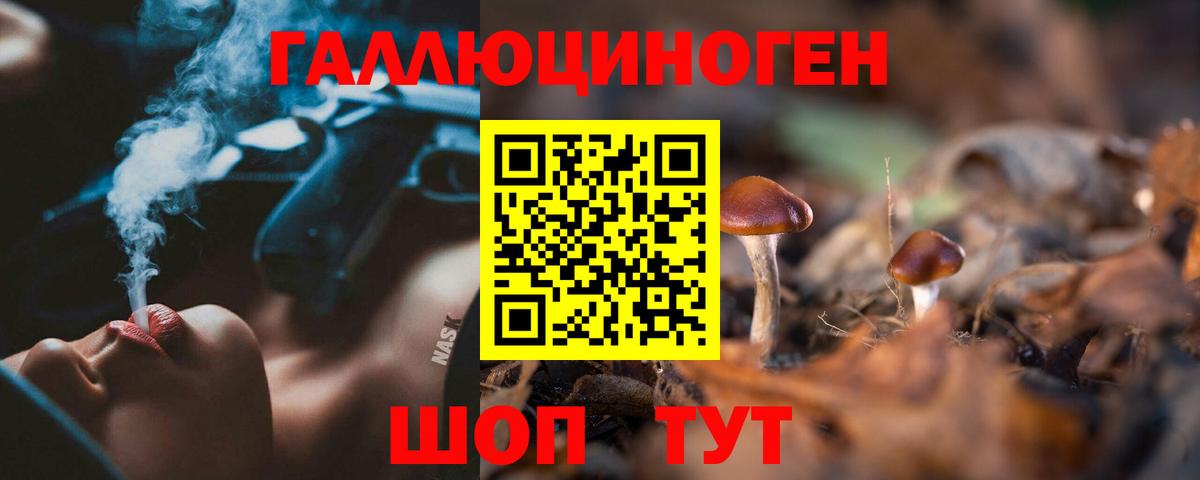Галлюциногенные грибы Psilocybine cubensis Партизанск